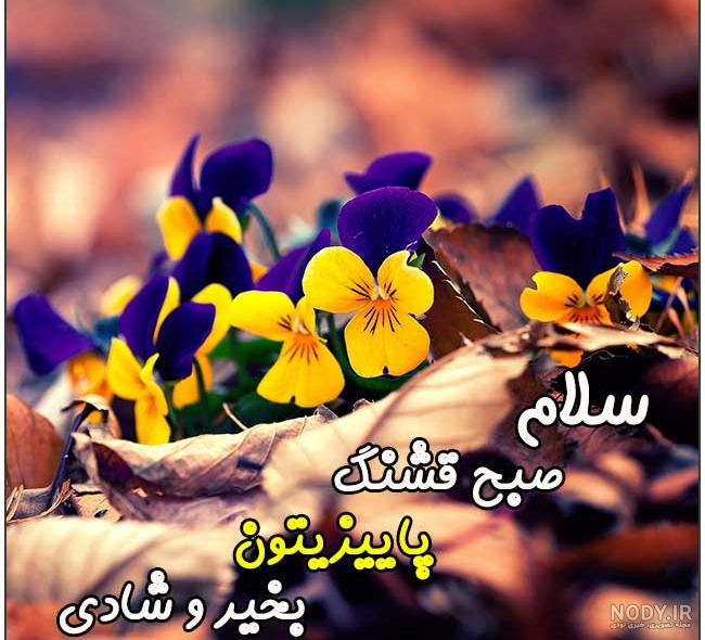 عکس نوشته صبح بخیر پاییزی – جملکس صبح بخیر گفتن | عکس نوشته صبح بخیر پاییزی – جملکس صبح بخیر گفتن |