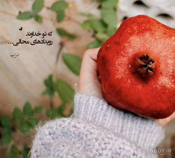 عکس پروفایل شب یلدا | عکس پروفایل شب یلدا فانتزی | عکس شب یلدا ... عکس پروفایل شب یلدا | عکس پروفایل شب یلدا فانتزی | عکس شب یلدا ...