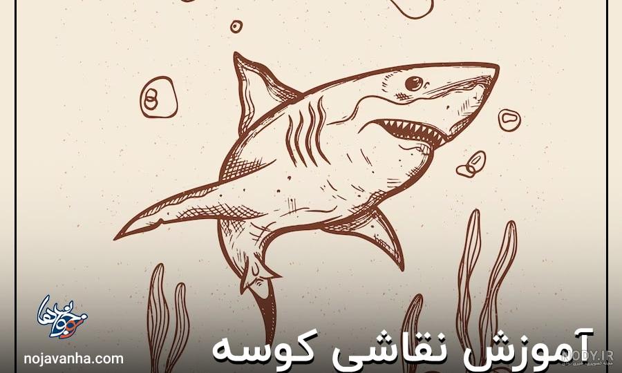 عکس کوسه برای نقاشی کودک عکس کوسه برای نقاشی کودک