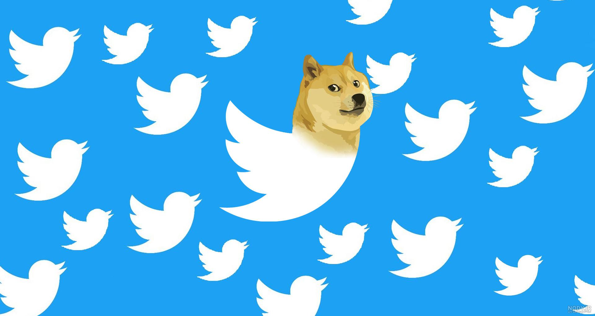 لوگو توییتر | تاریخچه لوگو توییتر | لوگو twitter لوگو توییتر | تاریخچه لوگو توییتر | لوگو twitter
