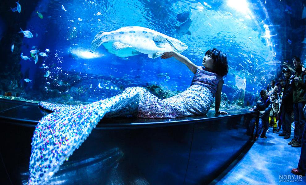 پری دریایی واقعی؟