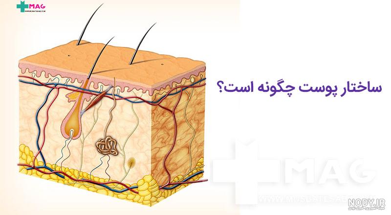 پوستر دیواری کلینیک زیبایی پوست و کاشت مو | چاپ دی : تولید کننده ...