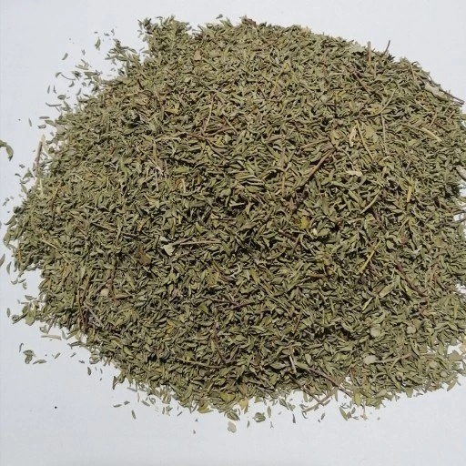 گالری تصاویر - مجموعه: آویشن باغی - تصویر: آویشن باغی گالری تصاویر - مجموعه: آویشن باغی - تصویر: آویشن باغی