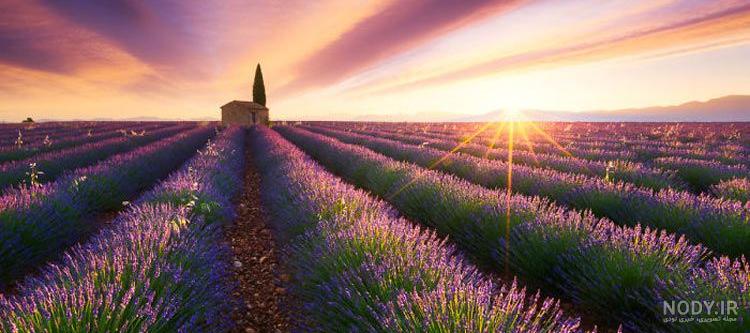 عکس خفن عکس طلوع خورشید در بهار