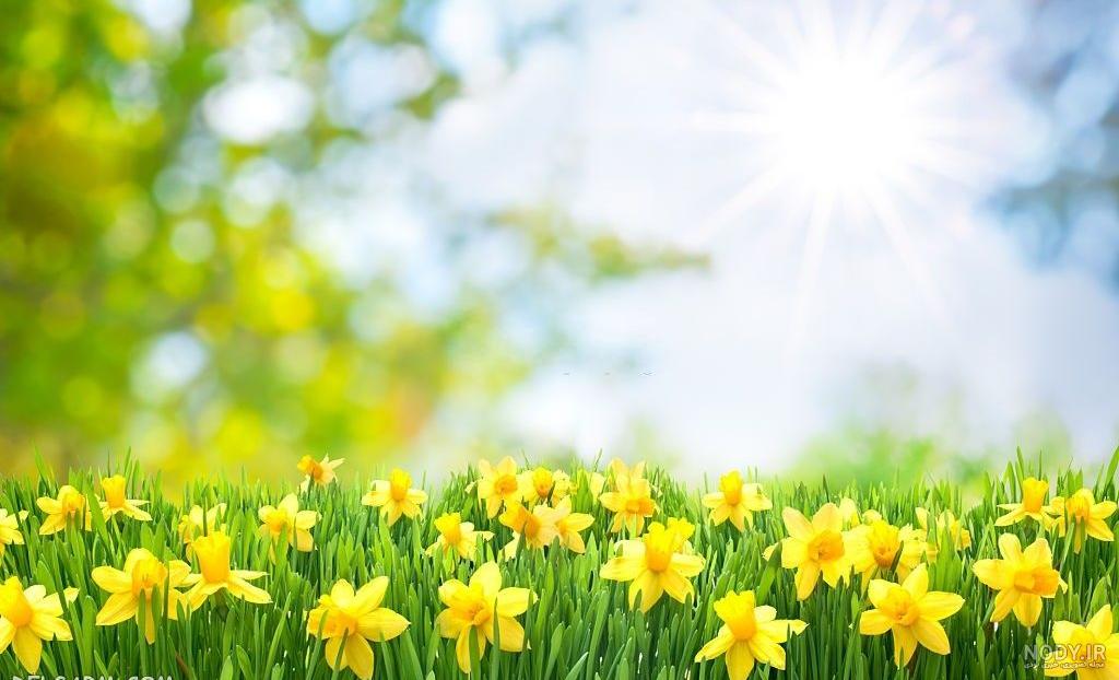 عکس خفن عکس طلوع خورشید در بهار