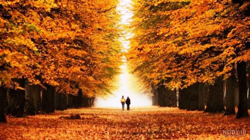 تصاویر زیبای پاییز در سراسر جهان تصاویر زیبای پاییز در سراسر جهان