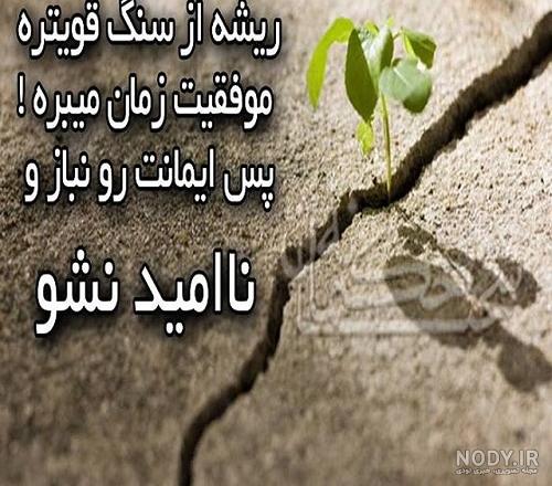 عکس پروفایل من میتونم - کامل (مولیزی)