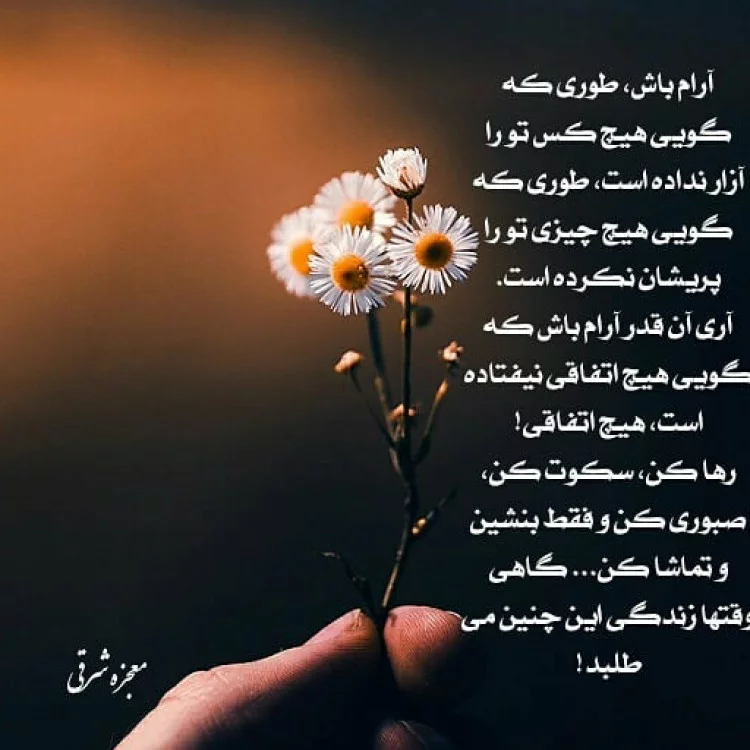 غزل حس آرامش از دفتر شعر نقاب مهدی بیرقی - ویرگول