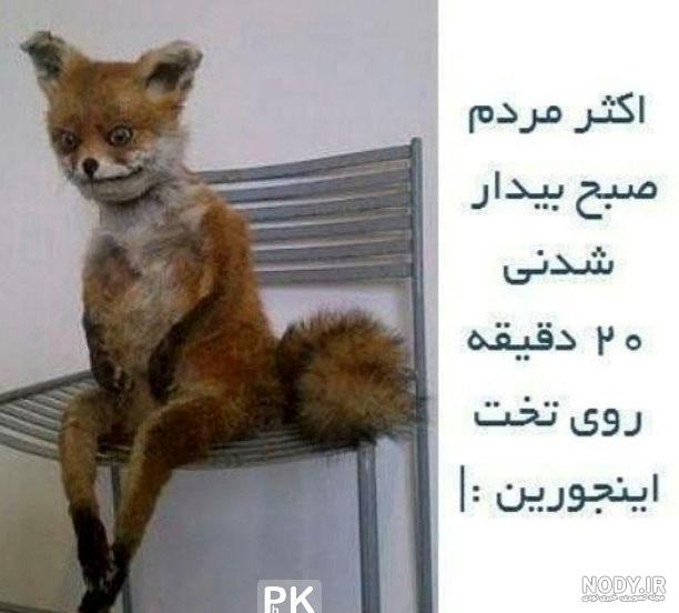 میم های خنده دار😹😍😼💥 | طرفداری
