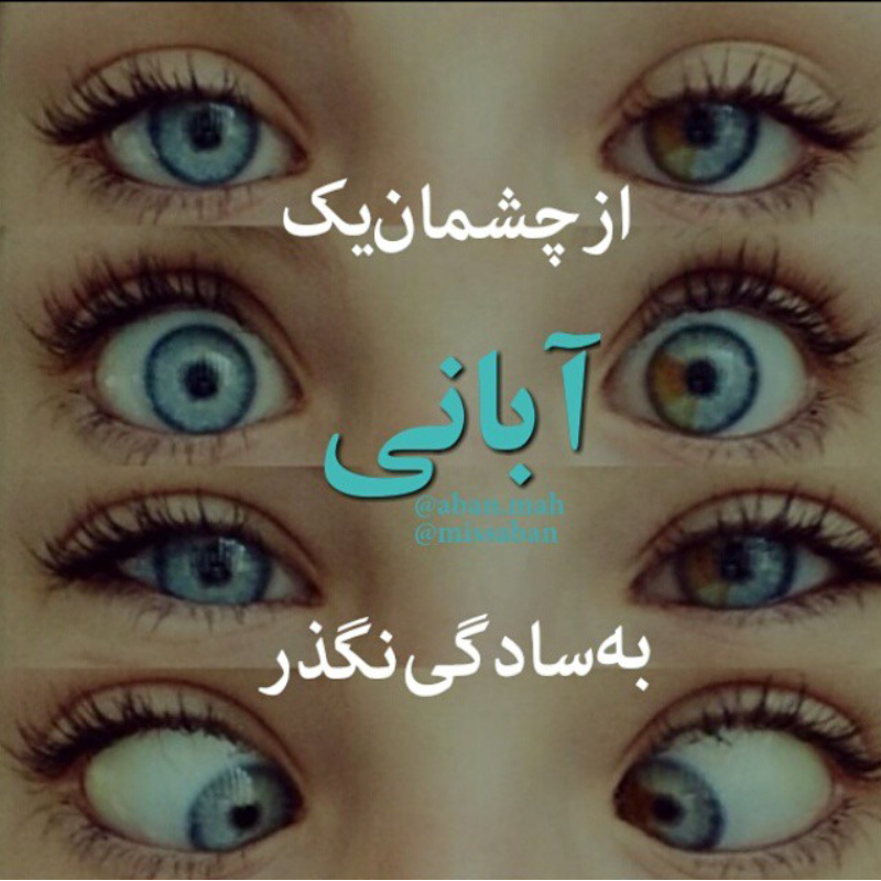 بایگانی‌های عکس - صفحه 2005 از 2677 - کامل (مولیزی)