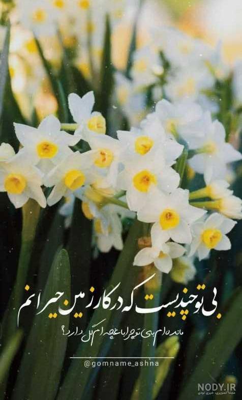 دانلود عکس وضعیت و استوری امام زمان HD (امام مهدی) ولادت و روز جمعه دانلود عکس وضعیت و استوری امام زمان HD (امام مهدی) ولادت و روز جمعه