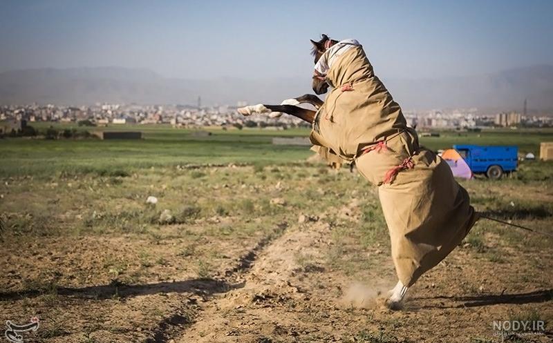 عکس اسب شمالی عکس اسب شمالی