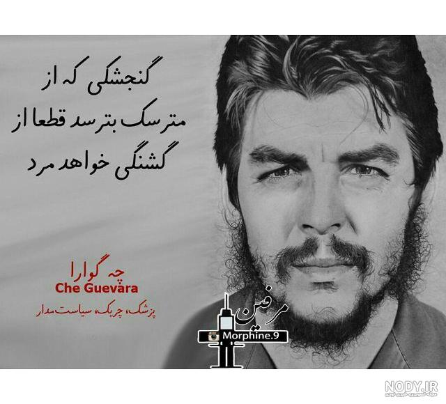 عکس جوانی چگوارا عکس جوانی چگوارا