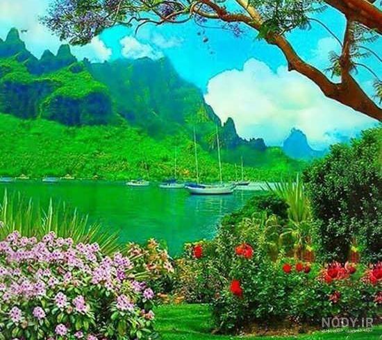 عکس های زیبای طبیعت