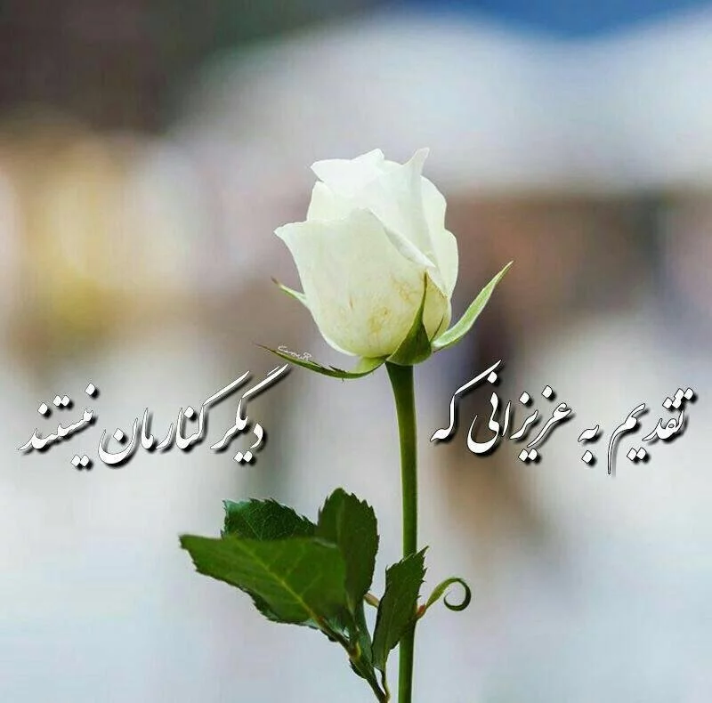 عکس پروفایل و استوری پنجشنبه اموات | متن شب جمعه برای اموات