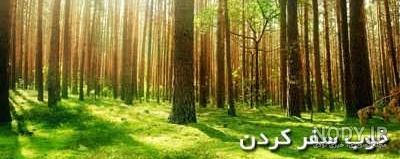 متن در مورد سفر+ سخن بزرگان جهان درباره سفر و مسافرت کردن - تبریکده