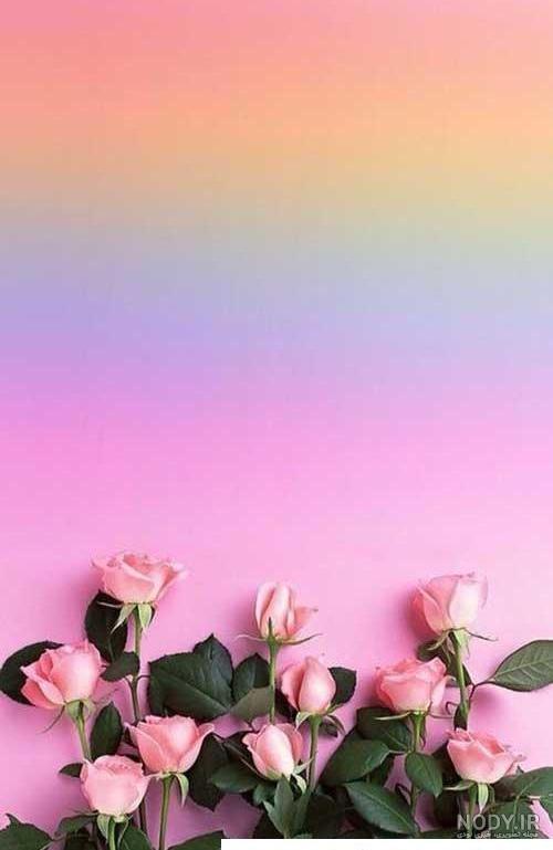 بک گراند برای عکس نوشته