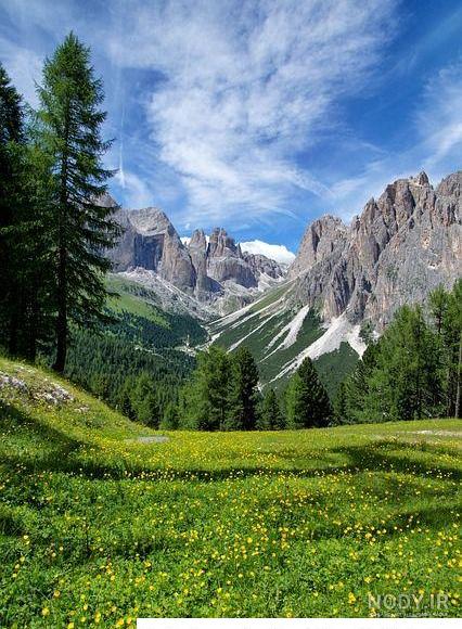 تصاویری زیبا از طبیعت سبز تصاویری زیبا از طبیعت سبز