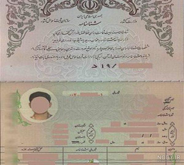 شناسنامه‌های جديد آمد+ عکس