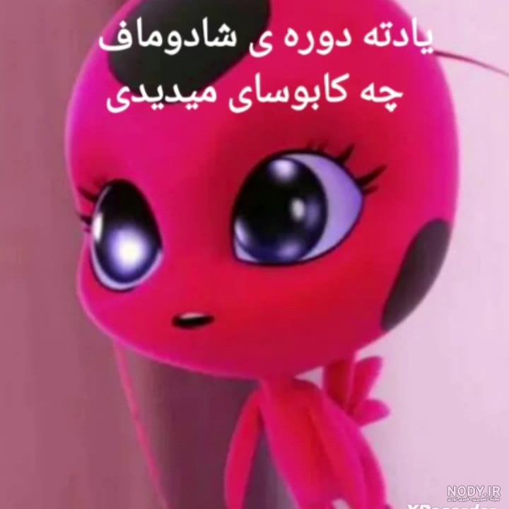 عاکی های مرینت