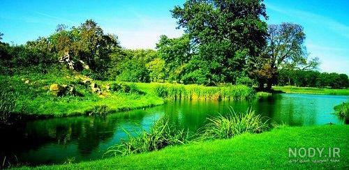 عکس تصویر زمینه طبیعت سرسبز عکس تصویر زمینه طبیعت سرسبز