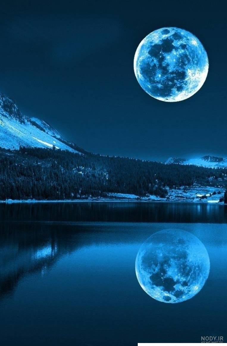 عکس زیبا از شبدر