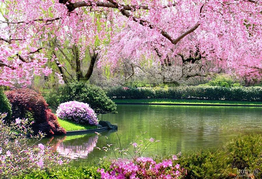 عکس های زیبای مناظر طبیعت عکس های زیبای مناظر طبیعت