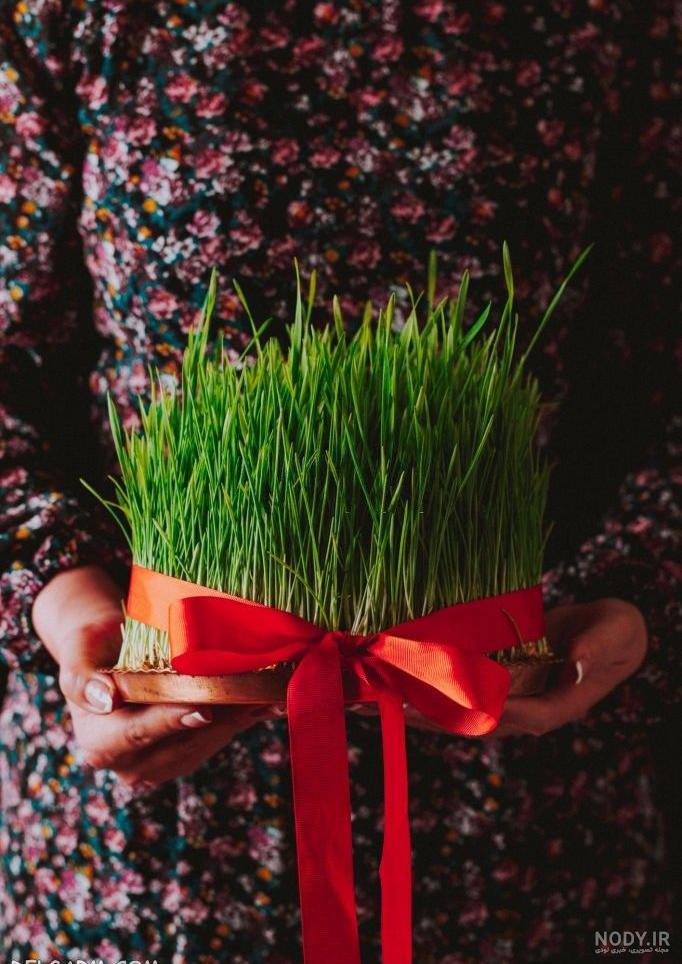عکس سفره ی هفت سین برای پروفایل عکس سفره ی هفت سین برای پروفایل