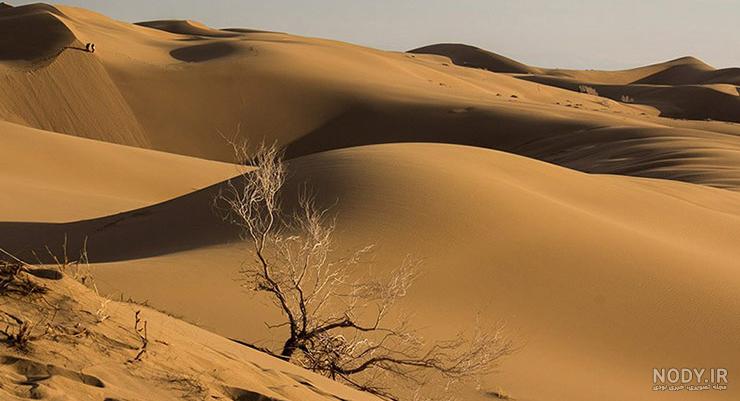 عکس طبیعت زیبای کویر - عکس نودی