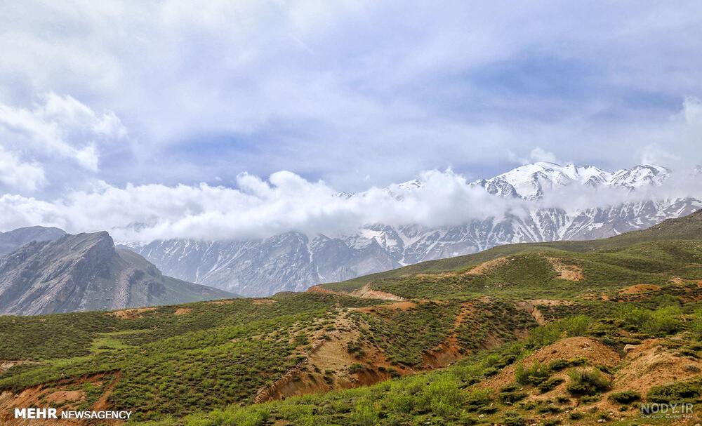 عکس و فیلم طبیعت
