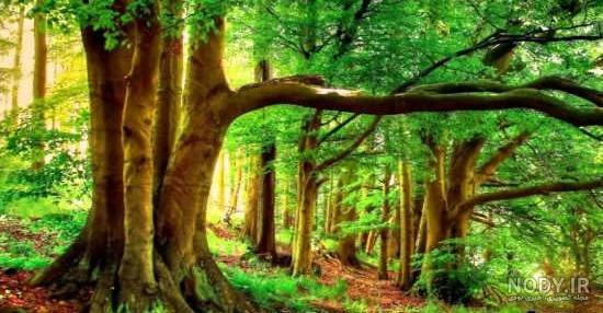 عکس مناظر طبیعت زیبا عکس مناظر طبیعت زیبا