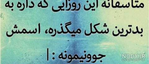 عکس نوشته ارنستو چگوارا - عکس نودی