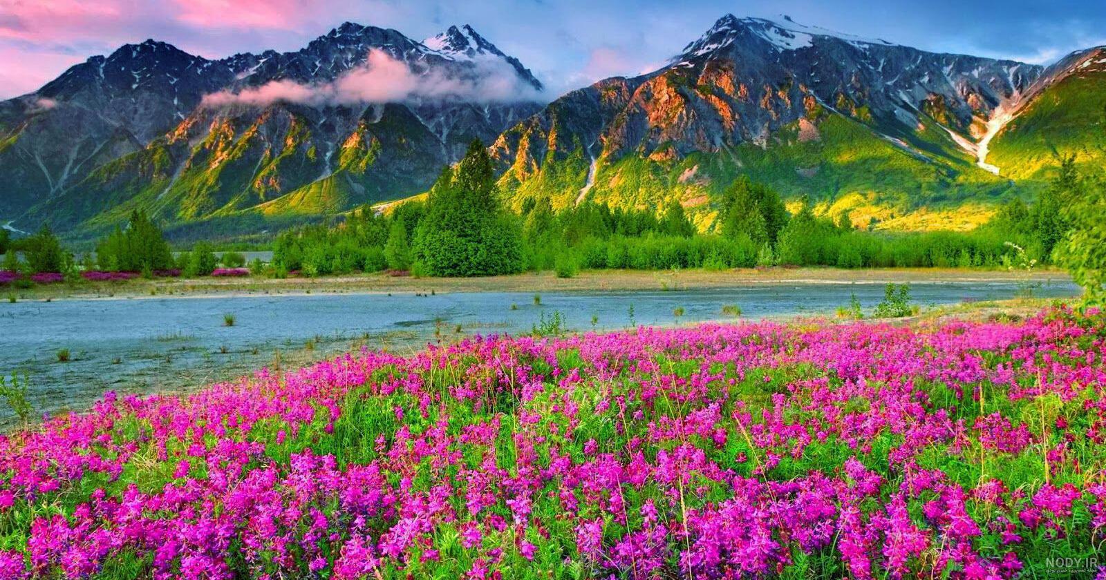 عکس پروفایل منظره از طبیعت فصول مختلف سال و مناطق زیبا و تماشایی عکس پروفایل منظره از طبیعت فصول مختلف سال و مناطق زیبا و تماشایی