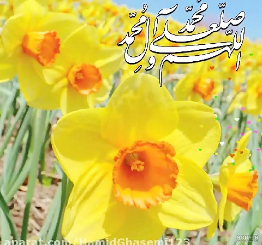 عکس صلوات گیف