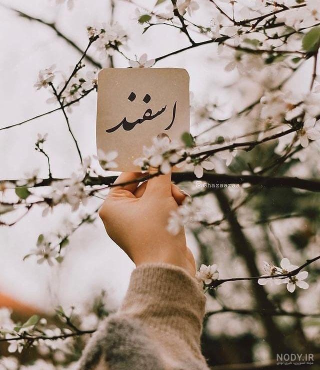 متن تولدت مبارک اسفند ماهی جان | تبریک تولد عاشقانه اسفند ماهی