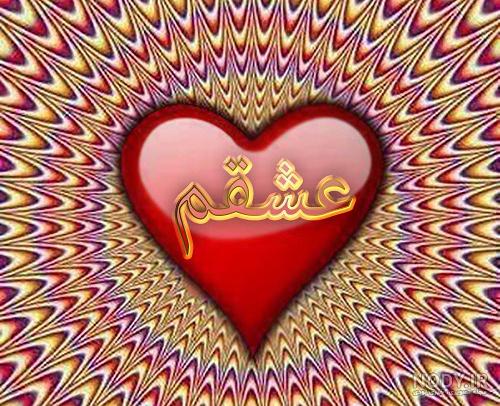 همشون ب عشقم میاد😍😍😍😍😍 - عکس ویسگون