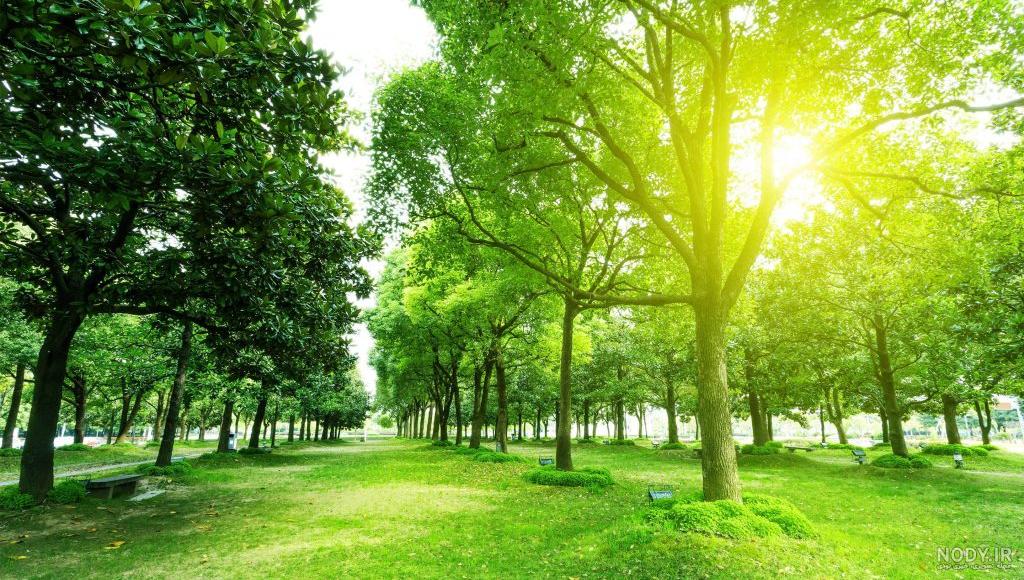 گالری عکس مناظر طبیعت گالری عکس مناظر طبیعت