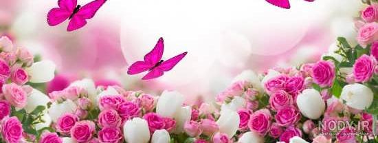 ۷۰ عکس پروفایل گل ۱۴۰۱ برای شبکه های اجتماعی مختلف