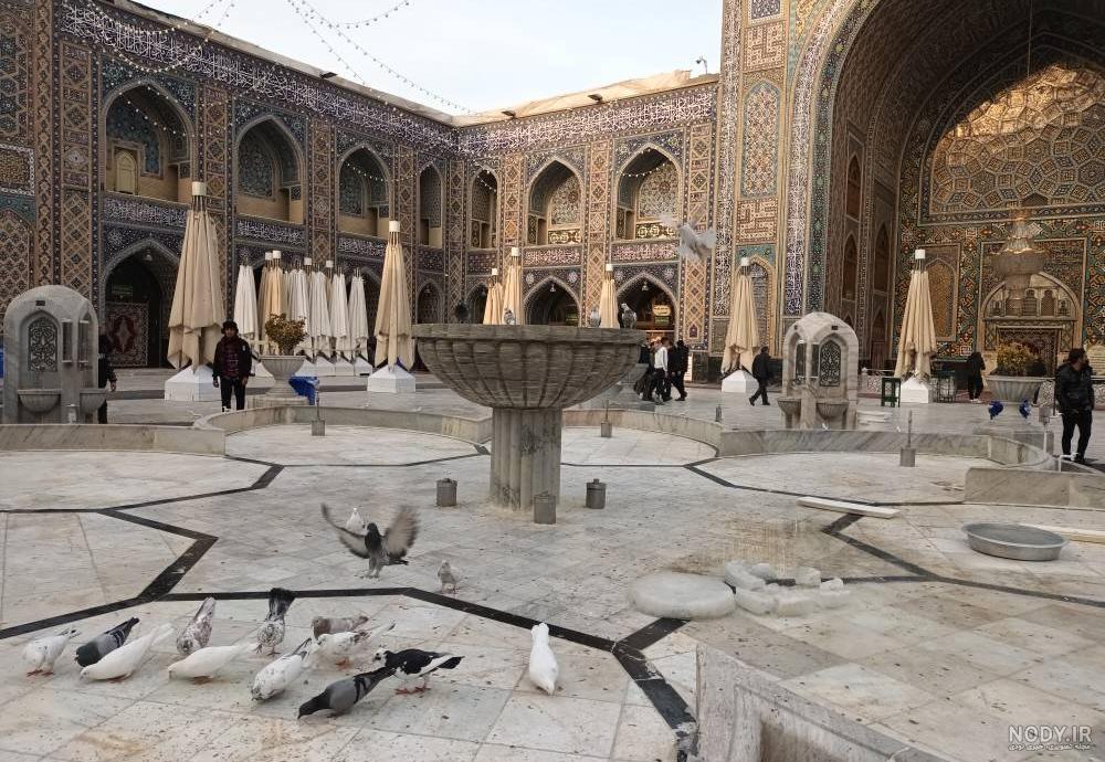 عکس خفن عکس حرم امام رضا با کبوتر برای پروفایل واتساپ