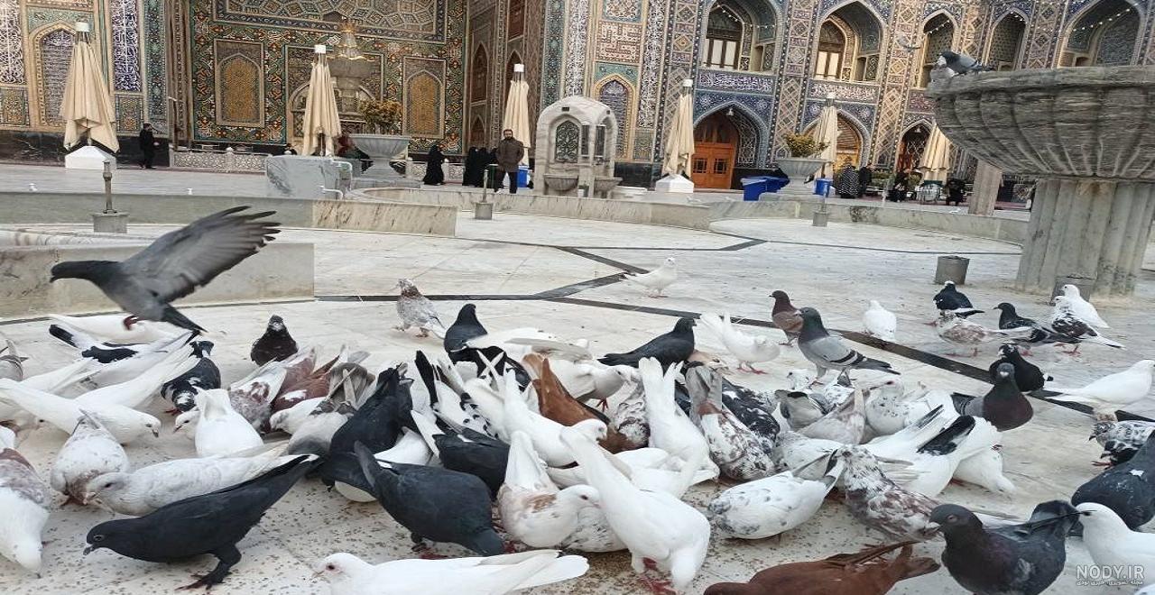 عکس حرم امام رضا برای پروفایل