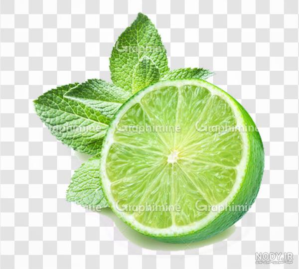 lime.png | برچسب محصولات | بُرچین – تصاویر دوربری شده، فایل های ...