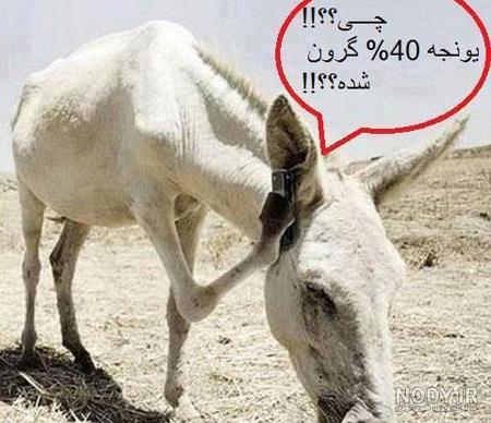 آلبوم عکس نوشته های خنده دار 98 جدید + متن طنز 2019 - تــــــــوپ ...