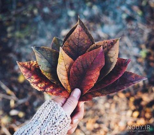 دانلود PNG برگ پاییزی - برگ های زرد و نارنجی پاییزی - PNG Leaves Fall
