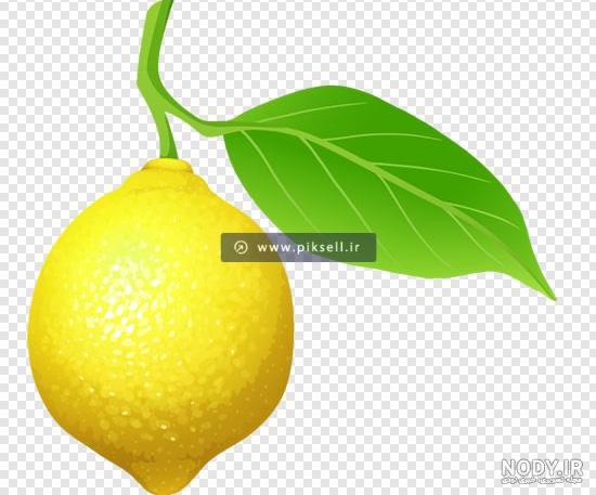دانلود تصویر png‌ آجیل | تصویر دوربری شده چهار مغز ، دوربری میوه ...