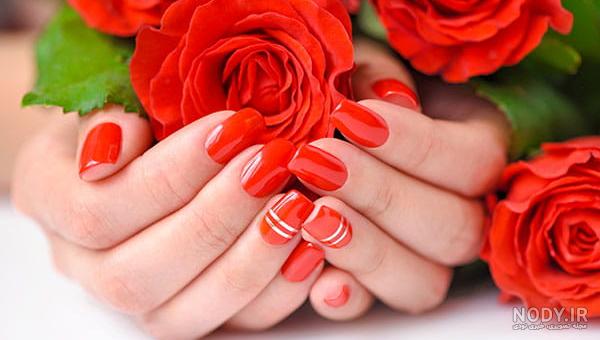 دسته گل رز قرمز 20 شاخه دسته گل رز قرمز 20 شاخه