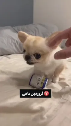 ♡طالع بینی به سبک ست های دخترونه♡ ♡طالع بینی به سبک ست های دخترونه♡