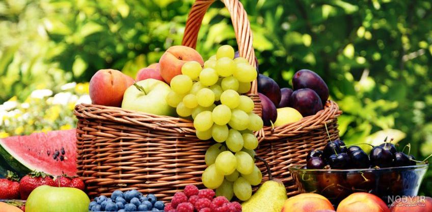 عکس از میوه های بهاری