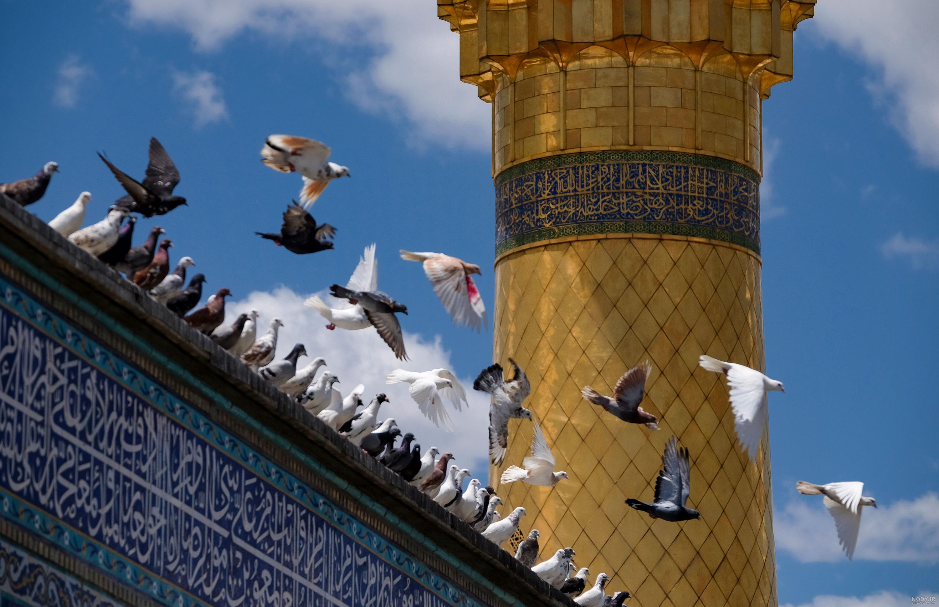عکس حرم امام حسین پوستر عکس حرم امام حسین پوستر
