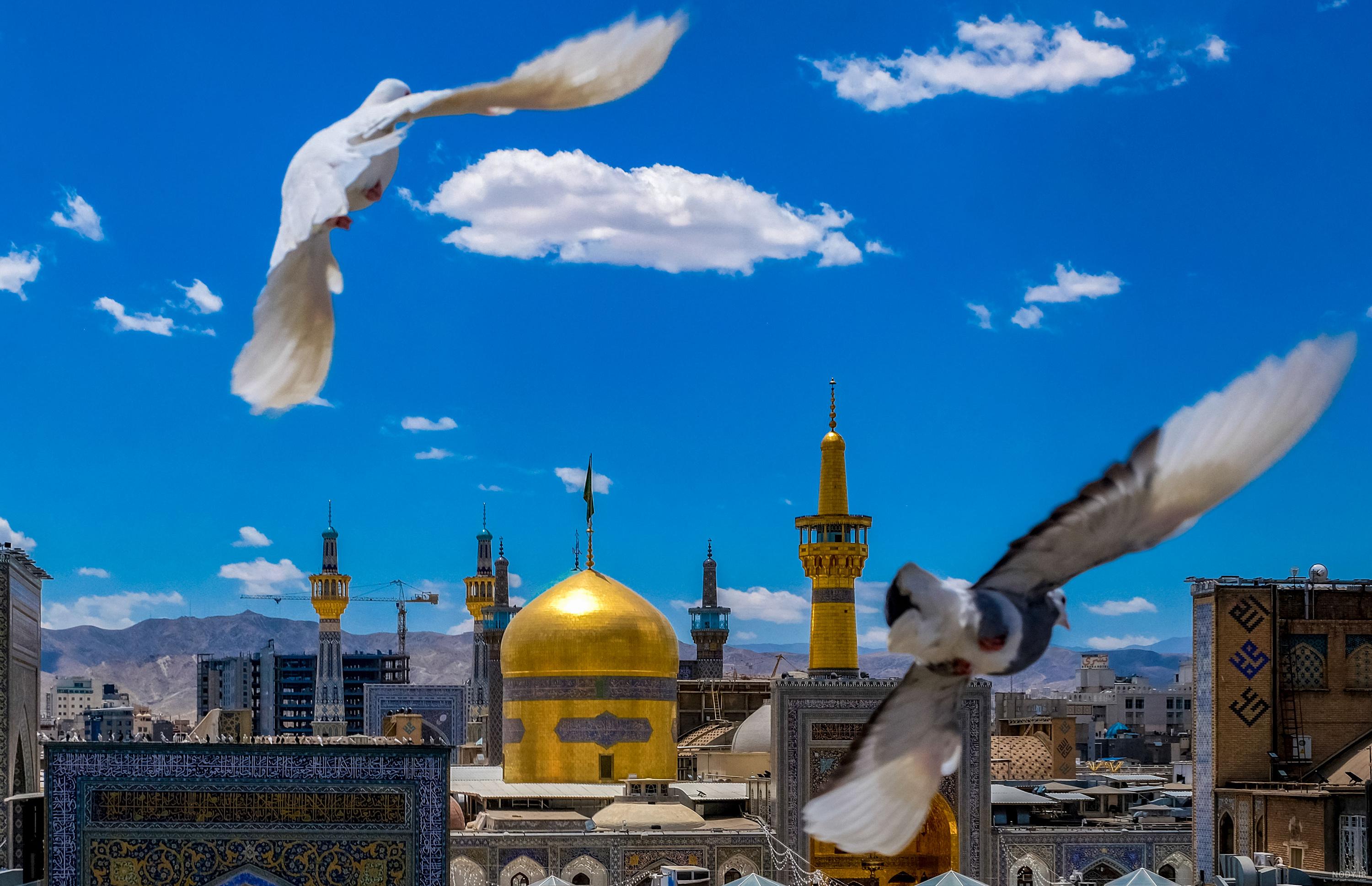 عکس حرم برای پوستر