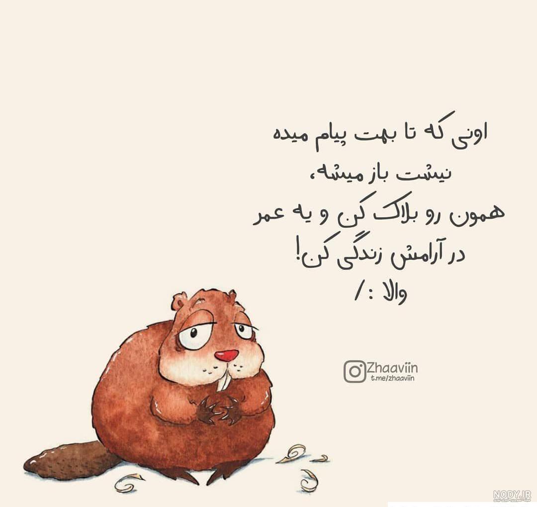عکس های خنده دار جدید ️ [ بهترین تصاویر ]
